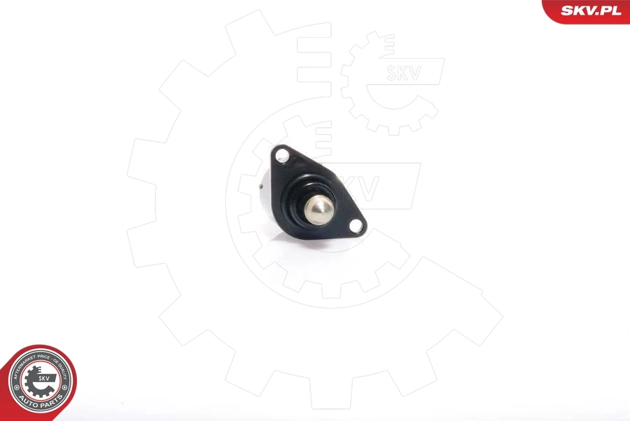 Idle Control Valve, air supply
